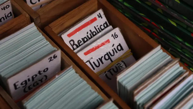 Panini álbum 